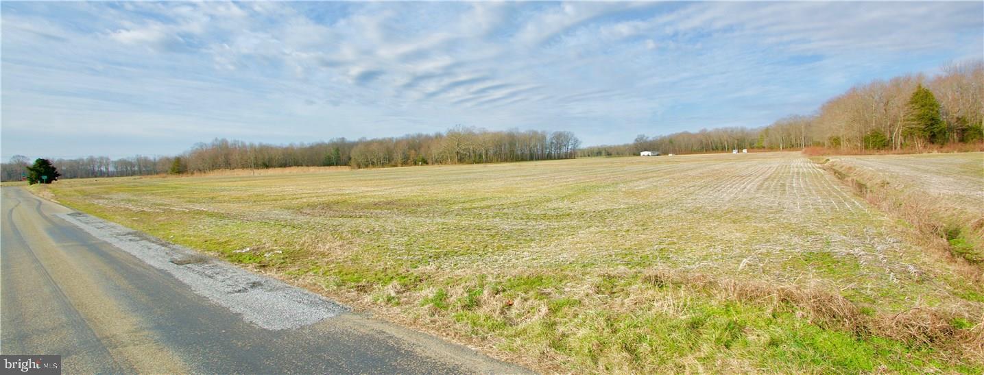 3441 Spectrum Farms Road Felton, DE 19943 - Photo 2 of 7 Gallery Image 2