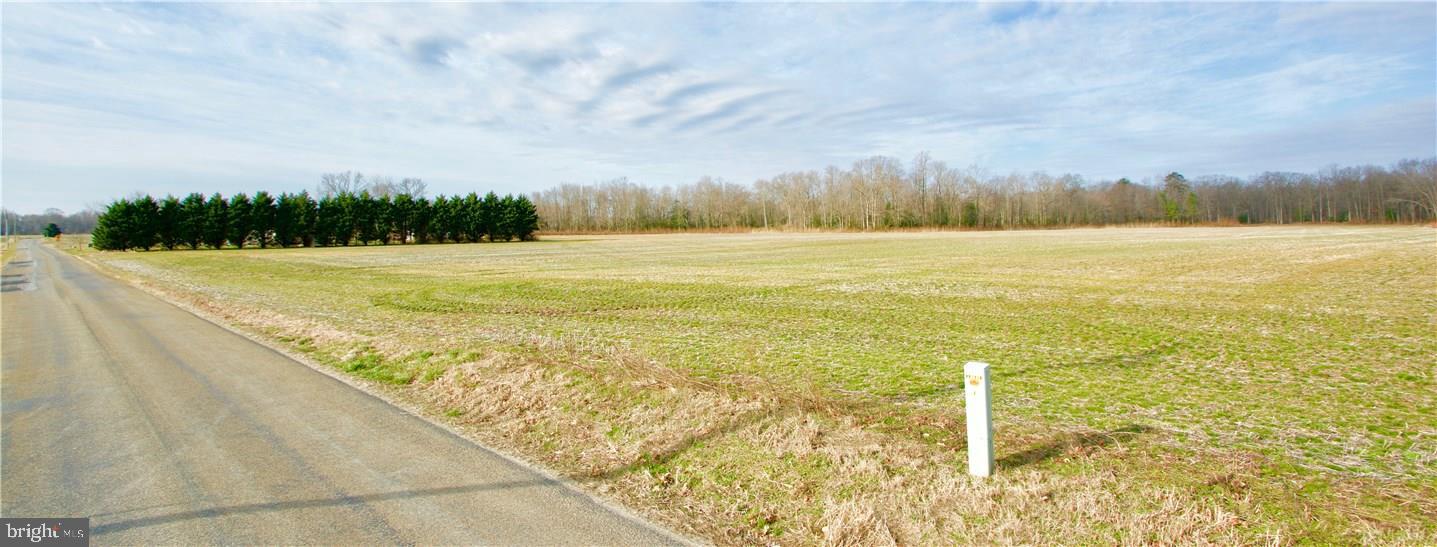 3441 Spectrum Farms Road Felton, DE 19943 - Photo 3 of 7 Gallery Image 3
