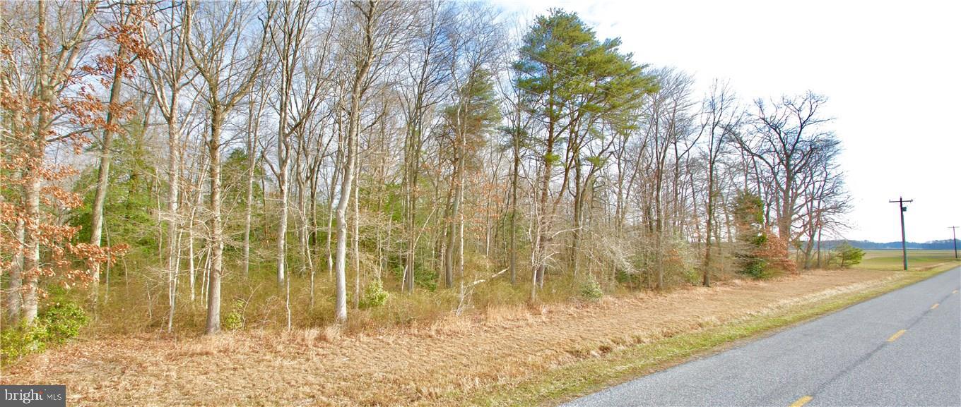 3441 Spectrum Farms Road Felton, DE 19943 - Photo 6 of 7 Gallery Image 6