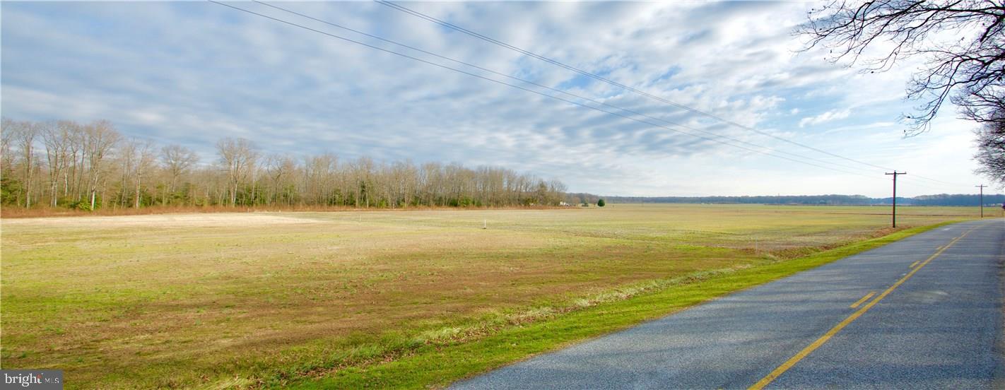 3441 Spectrum Farms Road Felton, DE 19943 - Photo 7 of 7 Gallery Image 7