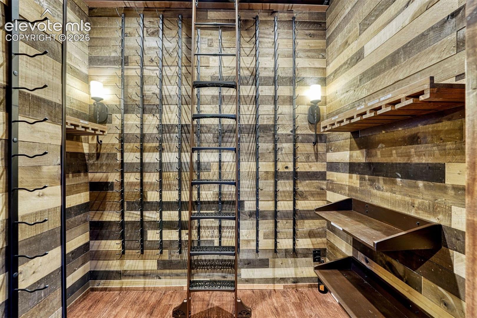 3200 Elk Ridge South Divide, CO 80814 - Photo 28 of 49 Wine room in basement