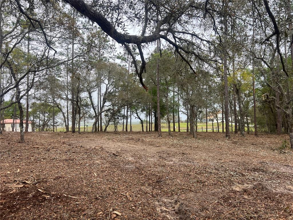 25 Southwest Timberlake Road Dunnellon, FL 34431 - Photo 13 of 27