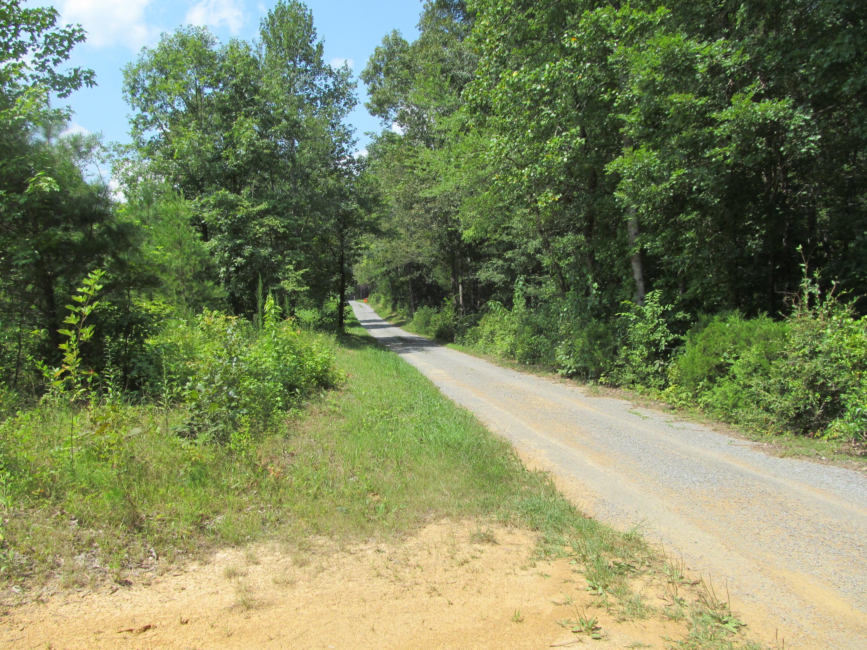 779 Co Road Riceville, TN 37370 - Photo 2 of 3 IMG_3580