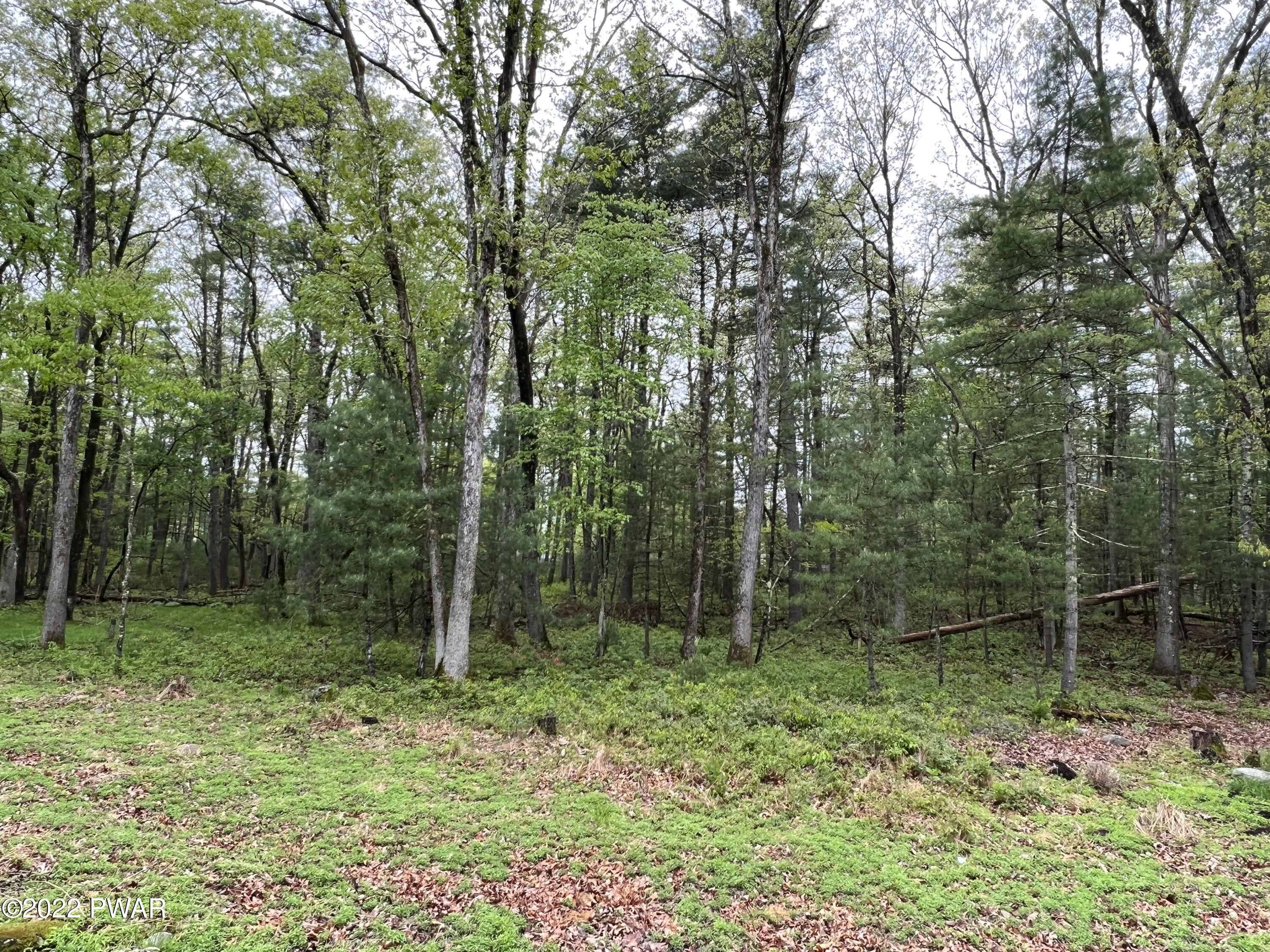 320 Rambling Way Milford, PA 18337 - Photo 27 of 33 Privacy-Back Yard