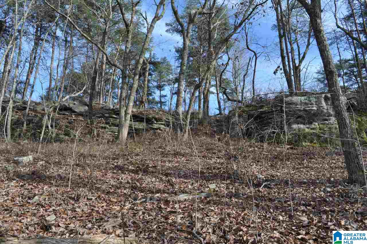 89 North County Road Mentone, AL 35984 - Photo 13 of 18