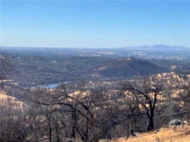 a view of a dry yard