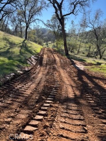 1484 Oregon Gulch Road Oroville, CA 95965 - Photo 5 of 19 a view of backyard of green space