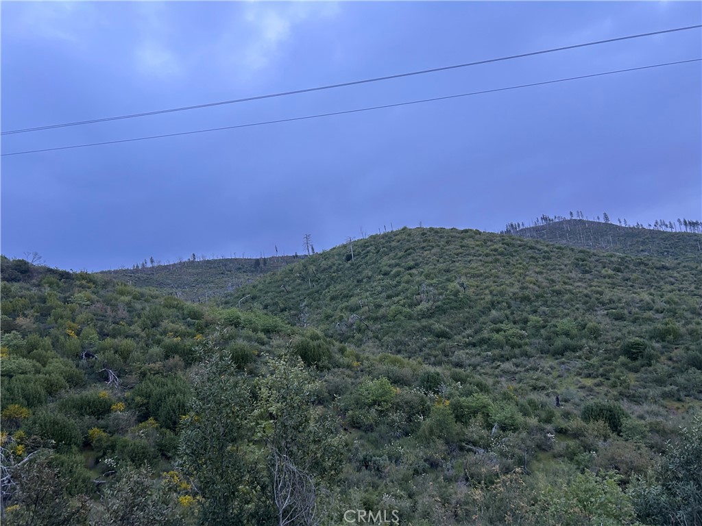 12196 Concow Road Oroville, CA 95965 - Photo 9 of 11