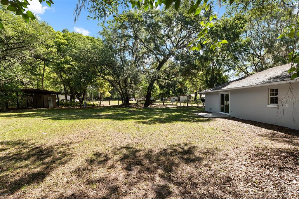 4329 Northwest 155th Street Reddick, FL 32686 - Photo 49 of 52 a view of backyard of house with green space