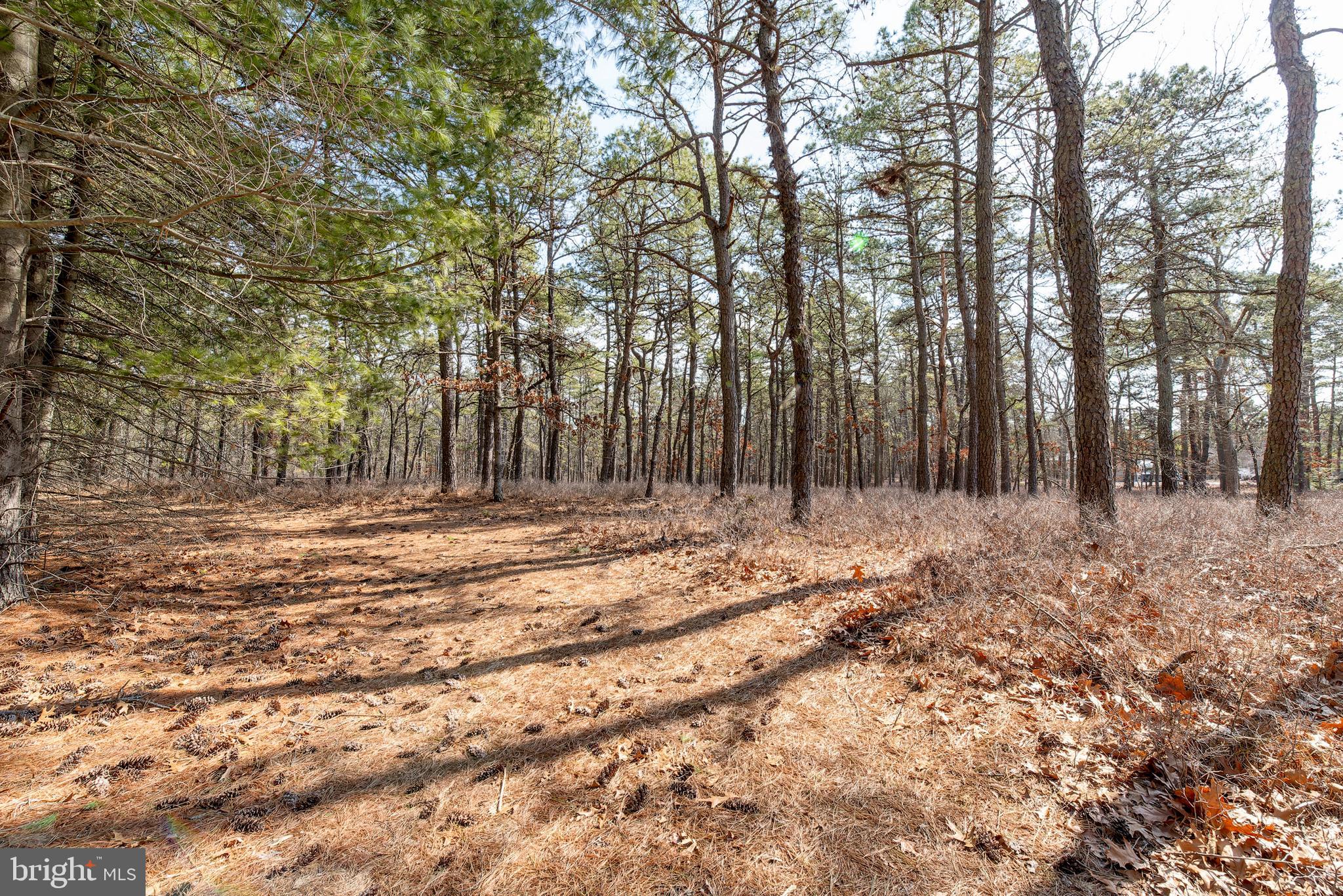220 Chatsworth Tuckerton Road Chatsworth, NJ 08019 - Photo 62 of 64 a view of outdoor space with trees
