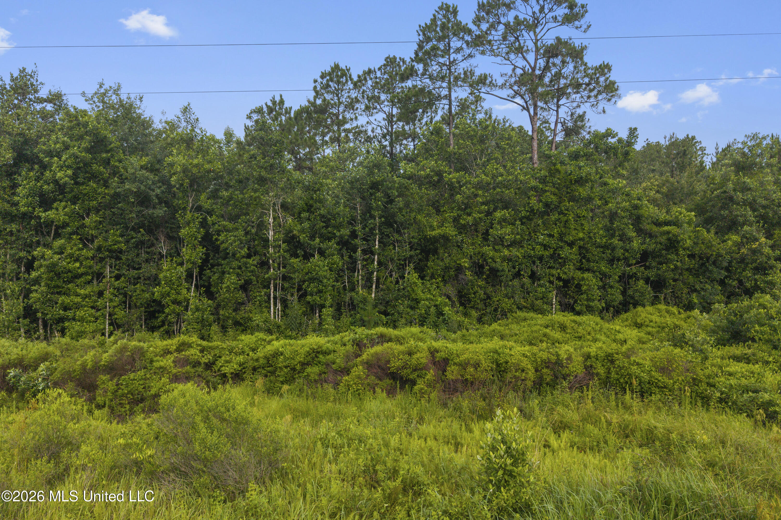 Spring Briar Trail Saucier, MS 39574 - Photo 3 of 16 00003 (1)