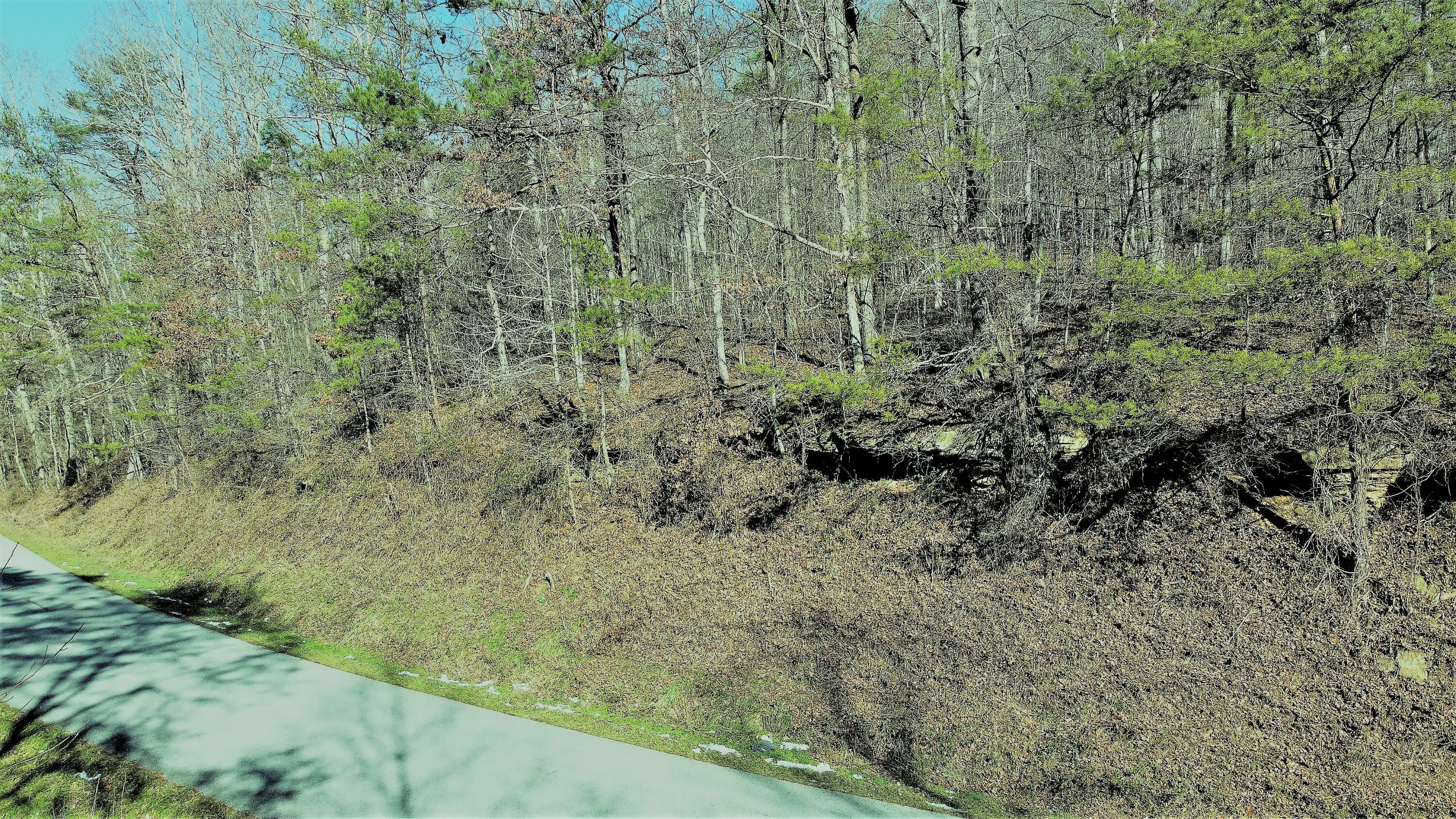 999 Slate Lick Road London, KY 40741 - Photo 9 of 14 DJI_0423