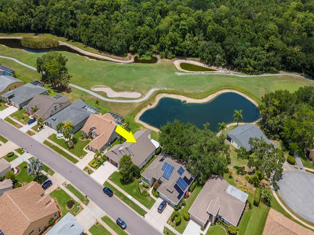 9703 Springmeadow Drive New Port Richey, FL 34655 - Photo 54 of 78 Gallery Image 54