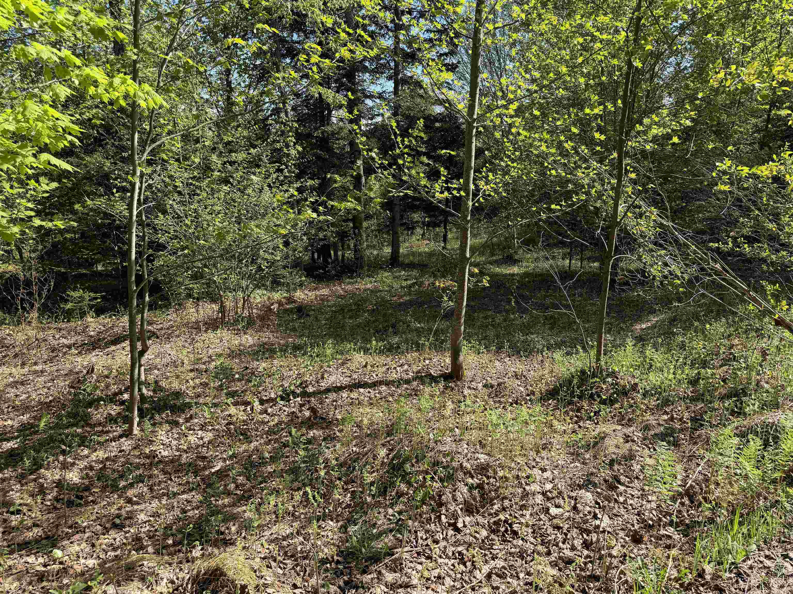 550 Petit Road Newport, VT 05855 - Photo 14 of 20