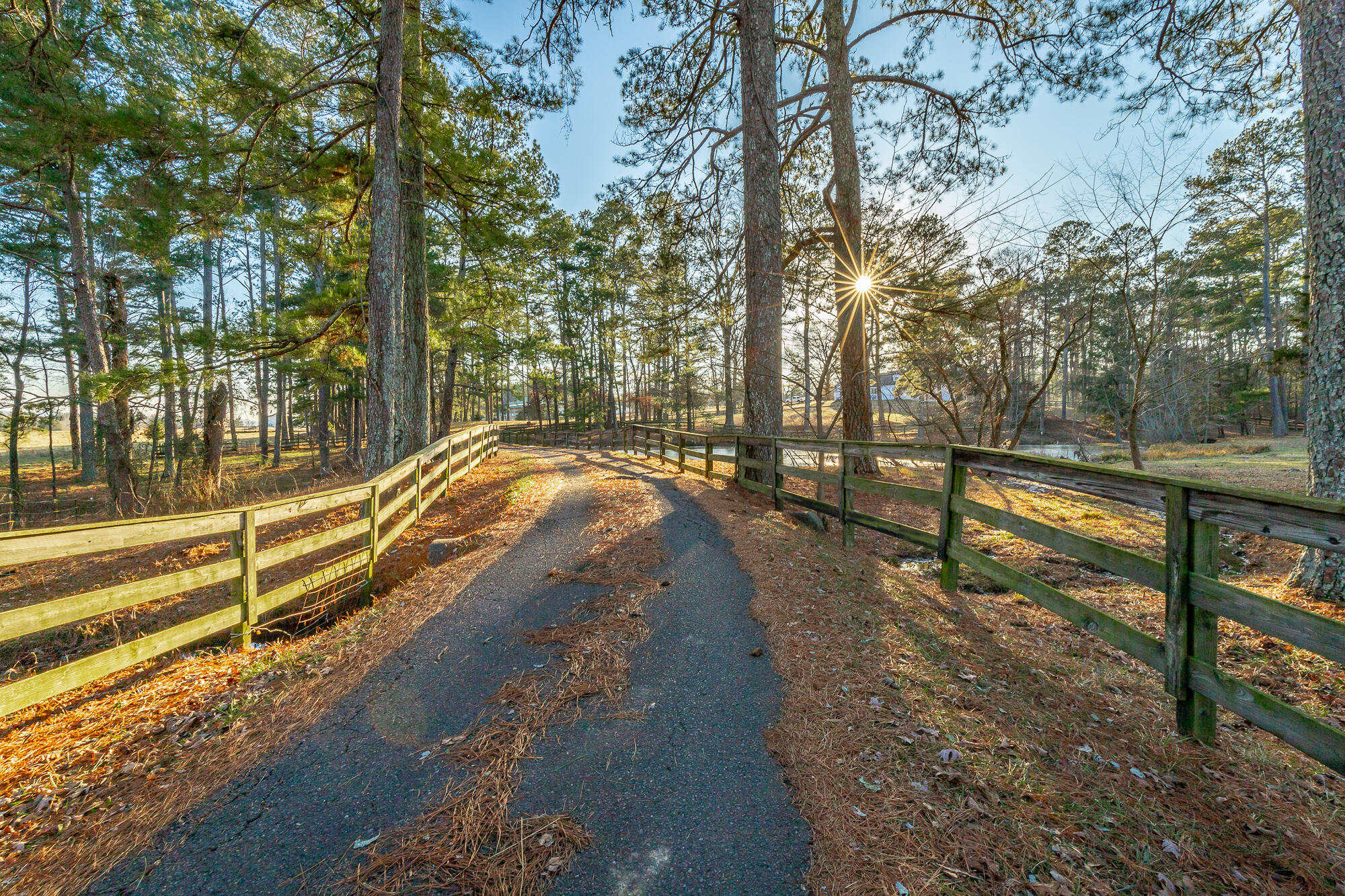 721 Gowans Road LaFayette, GA 30728 - Photo 14 of 126 Entry Road