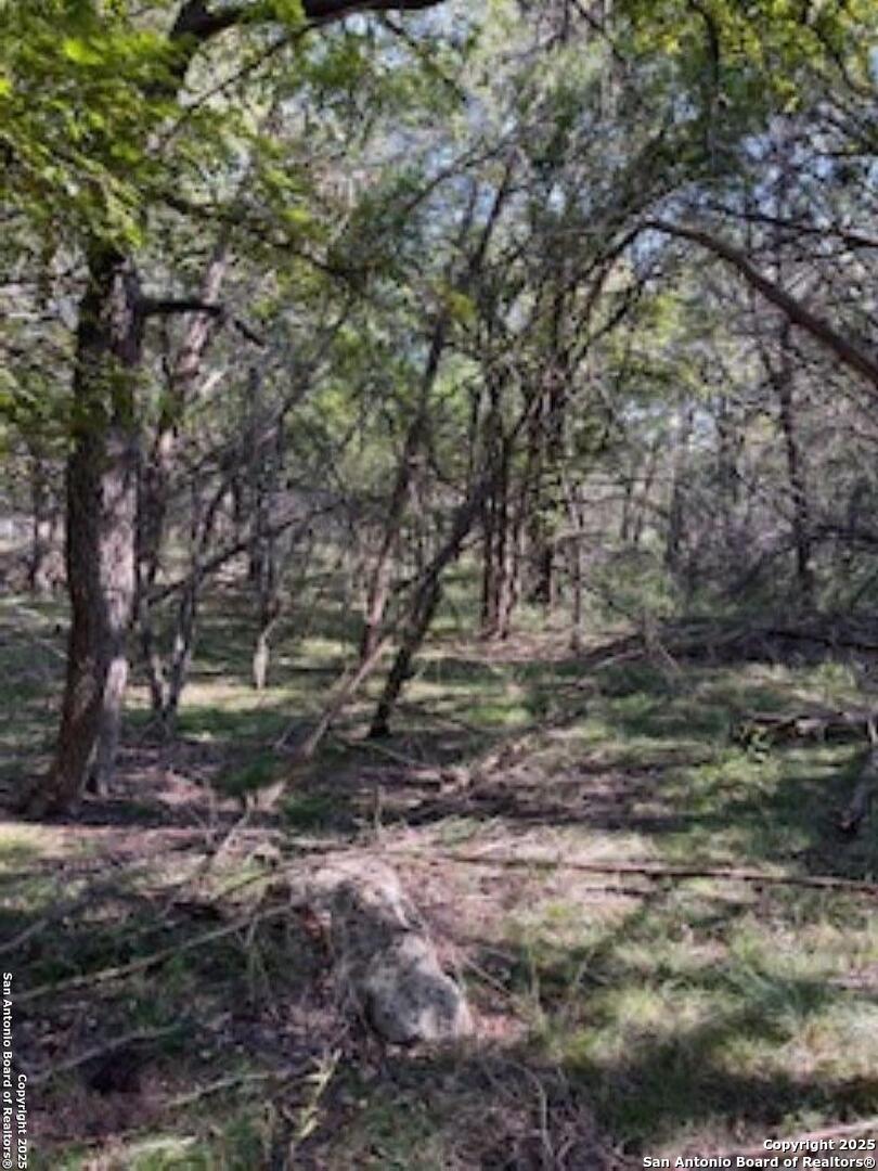 35 Meadow Oaks Street Wimberley, TX 78676 - Photo 2 of 4 a view of a yard