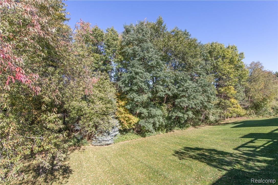 6674 Ridgeview Drive Clarkston, MI 48346 - Photo 32 of 35 Private Yard!