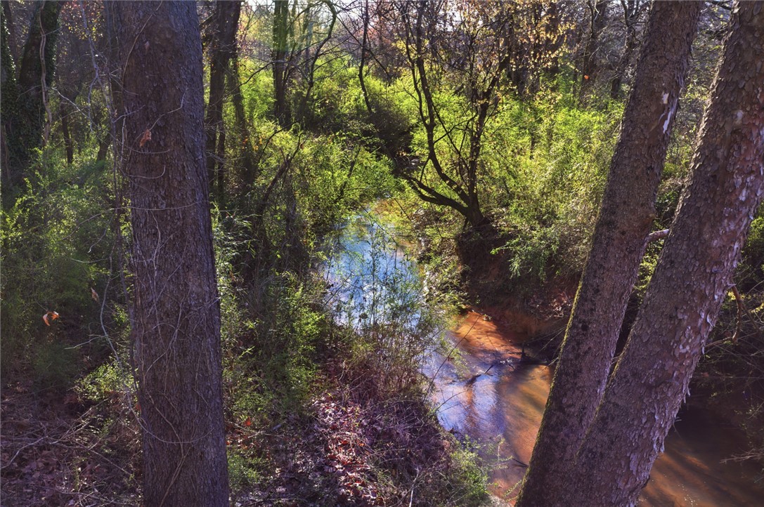 51.3-acres Hall Road Westminster, SC 29693 - Photo 5 of 6