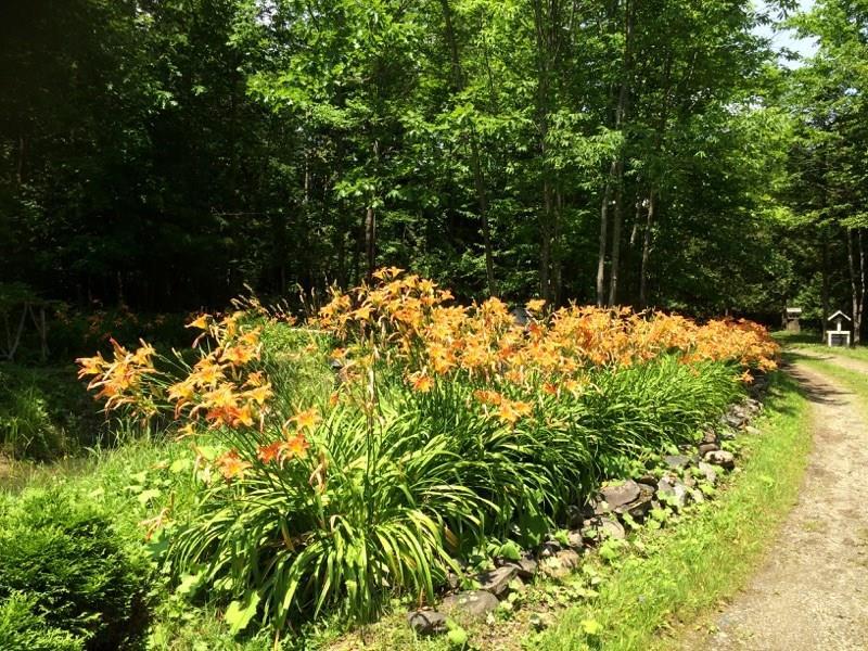106 Dexter Road Garland, ME 04939 - Photo 18 of 18 Photo
