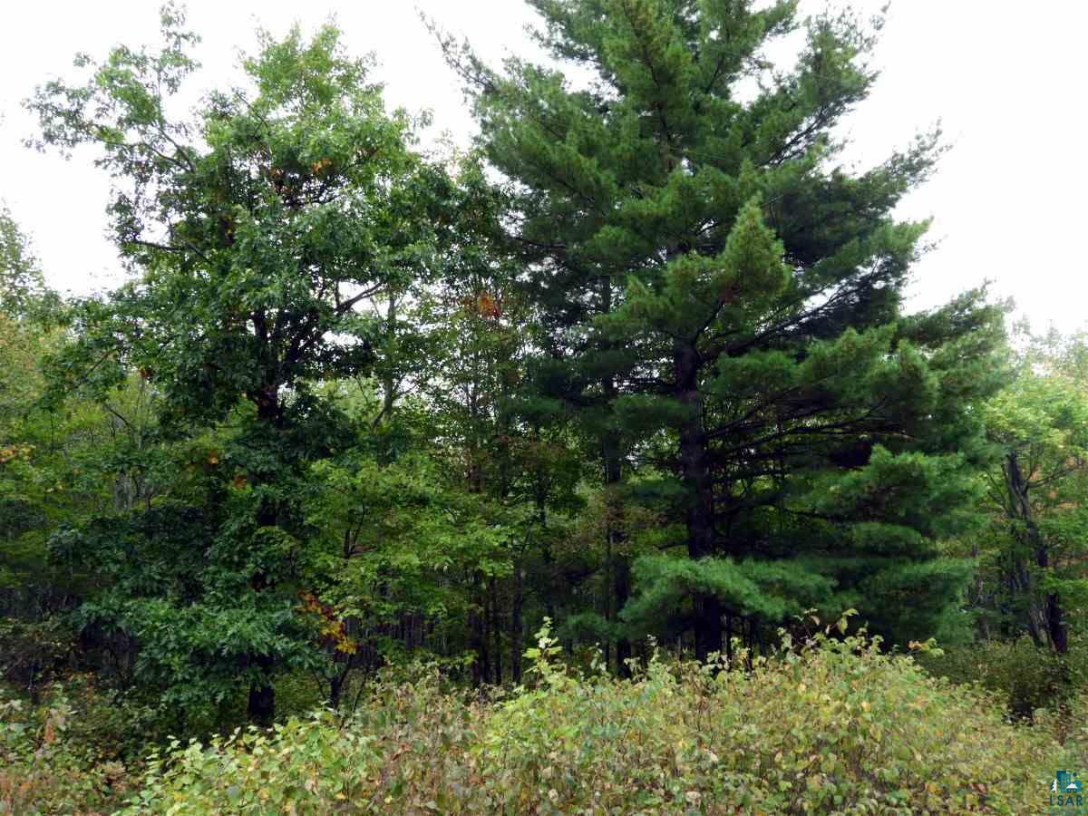 0 Pease Road Solon Springs, WI 54873 - Photo 3 of 6