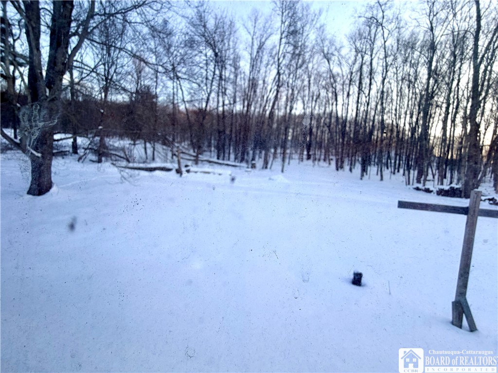 5801 Leonard Run Road Carrollton, NY 14753 - Photo 37 of 37