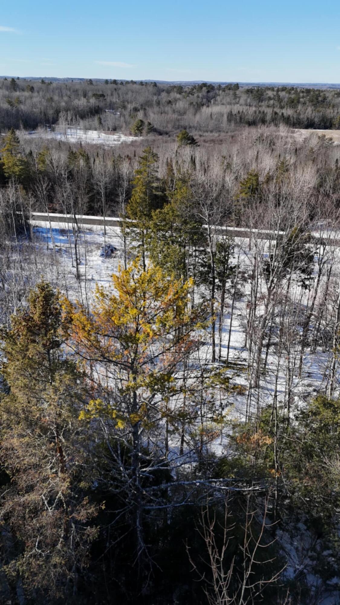 Map17-lot53 Grant Road Orono, ME 04473 - Photo 12 of 21 att.wsu0Jmv0_XNLyZF9v9oGtJwrMcZv3IhsN5CU