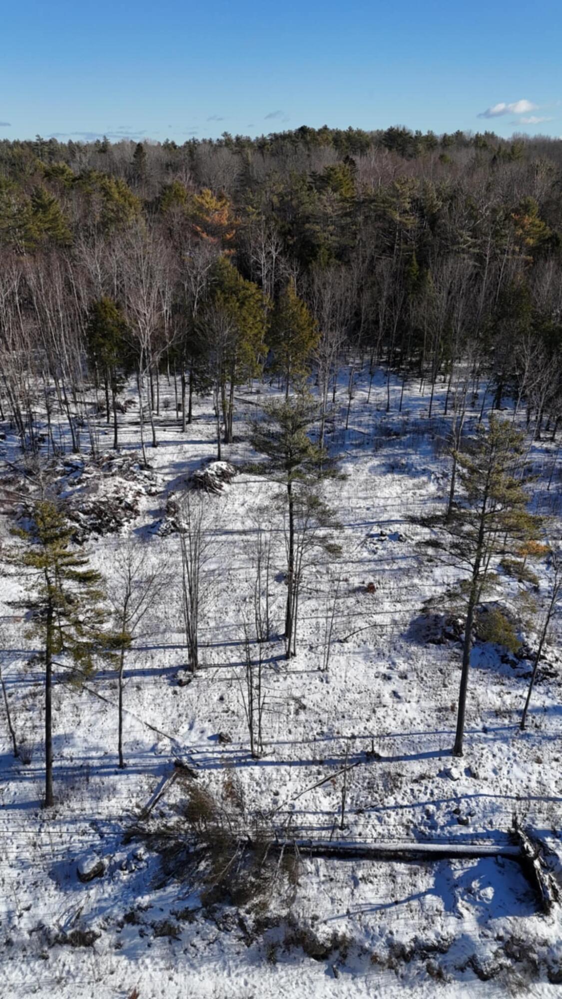 Map17-lot53 Grant Road Orono, ME 04473 - Photo 13 of 21 att.JQLqPuk3qi8OPbZ5hsUWFV_uTXvV68hrTbZv