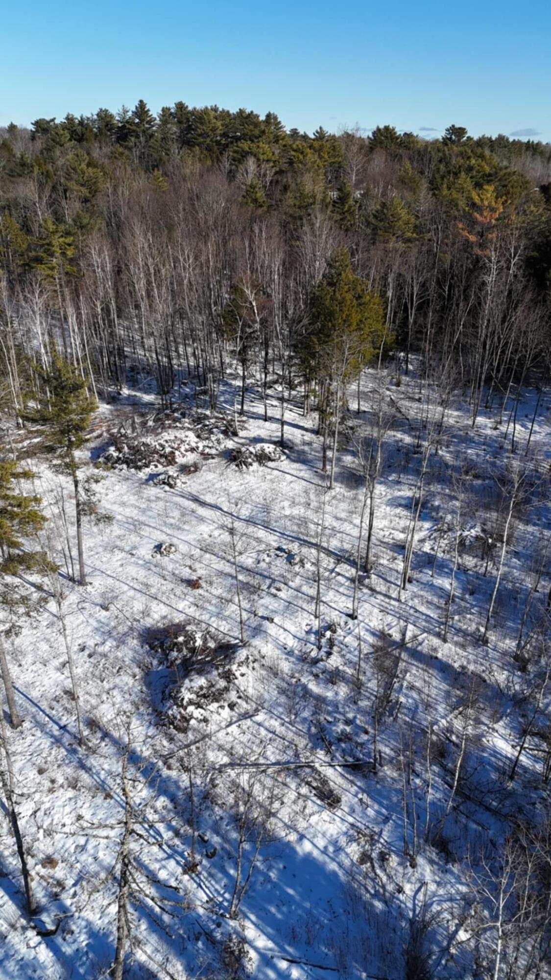 Map17-lot53 Grant Road Orono, ME 04473 - Photo 14 of 21 att.I_c4j7A09-1ufZqGgKsPNANtbmRqZ0tPqdft