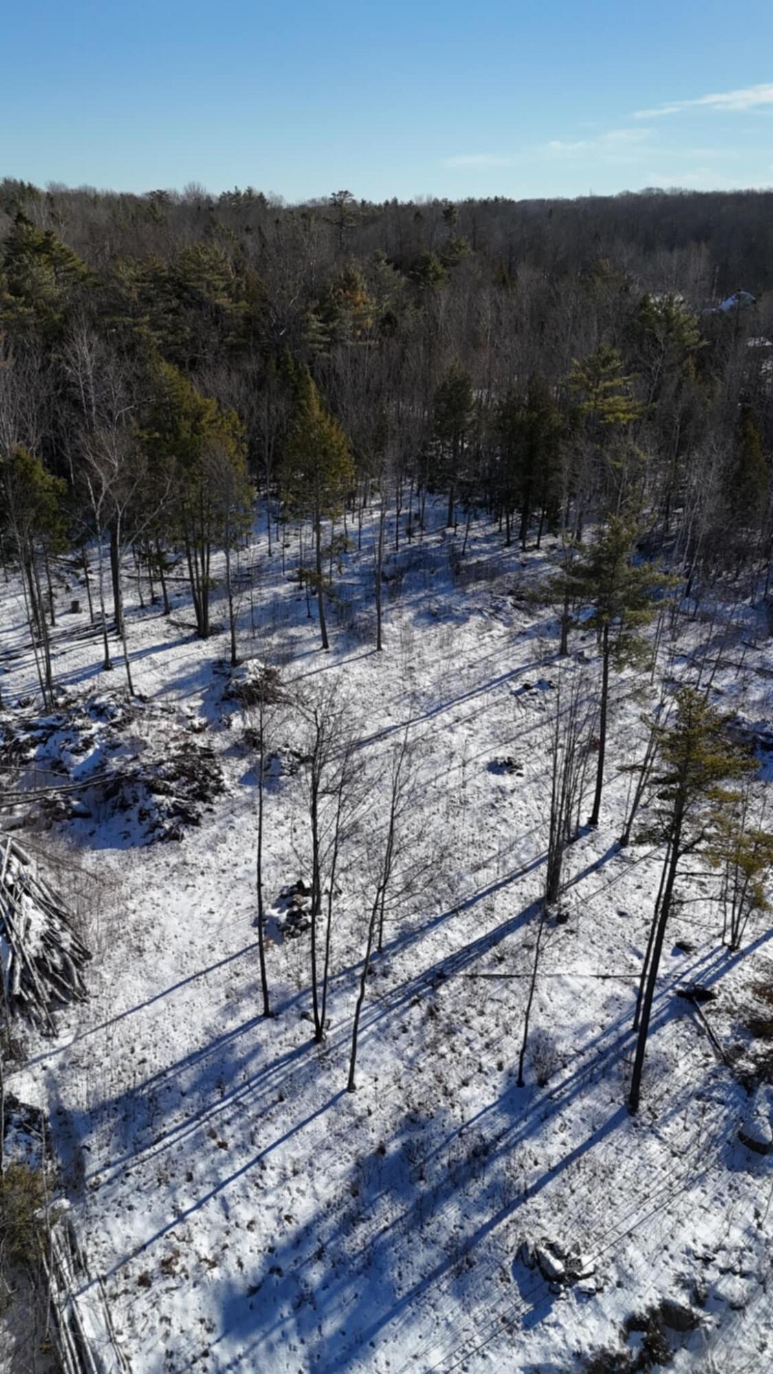 Map17-lot53 Grant Road Orono, ME 04473 - Photo 16 of 21 att.rjvWsOdpCq6zEEI_cLgzDdiIs2XU1DkPbdTu