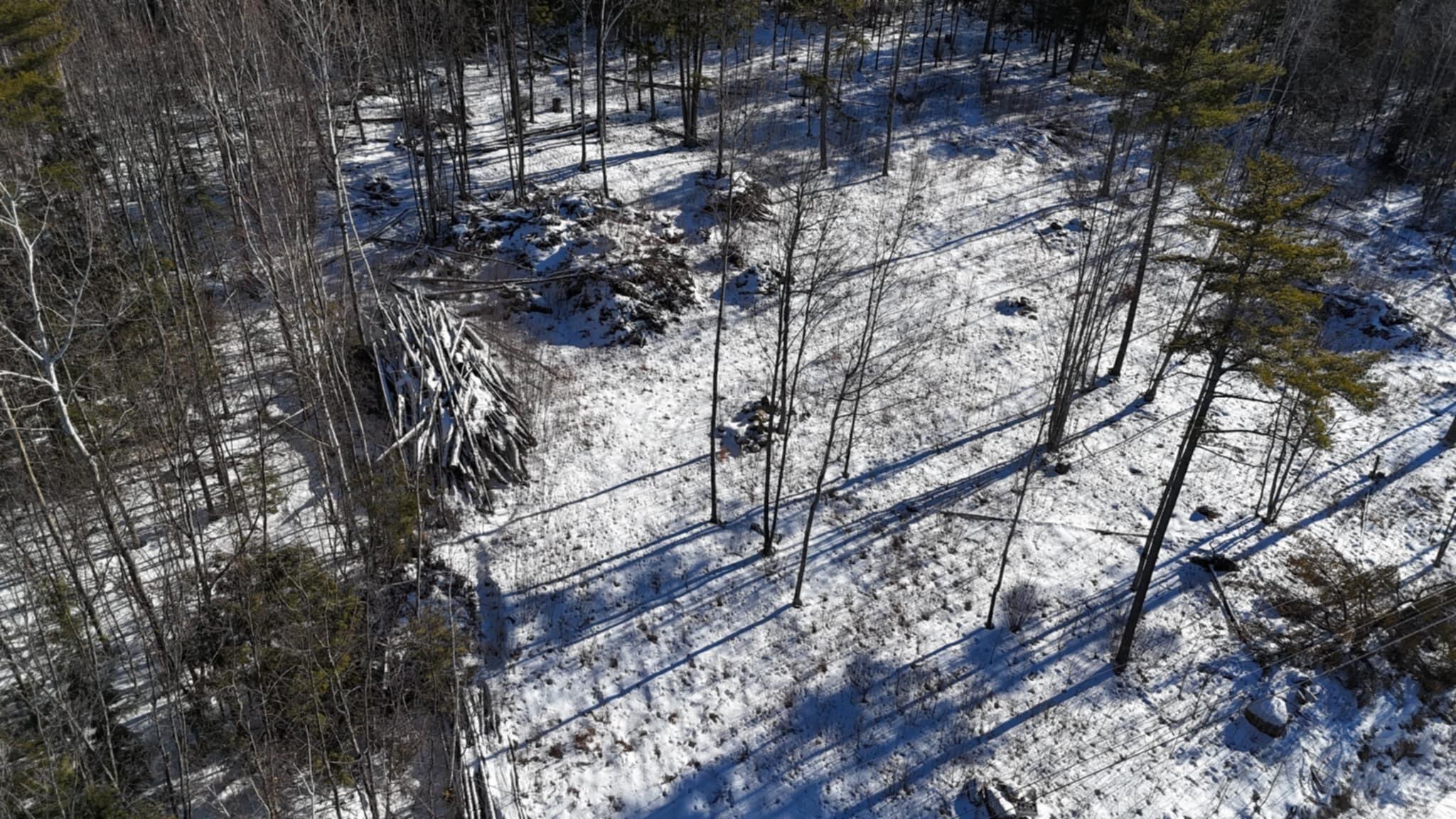 Map17-lot53 Grant Road Orono, ME 04473 - Photo 19 of 21 att.zXuxsZwav5D0EQDNCXRf3a-KdkMSMZ8vN_U5
