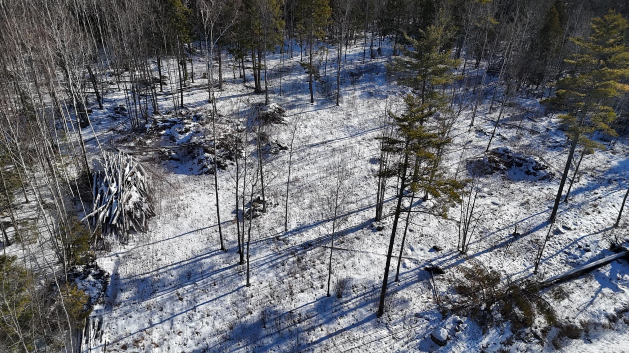 Map17-lot53 Grant Road Orono, ME 04473 - Photo 20 of 21 att.OHuMe0jiOY2FCCX-mgmP5AvB3qxIbVRGDtLM