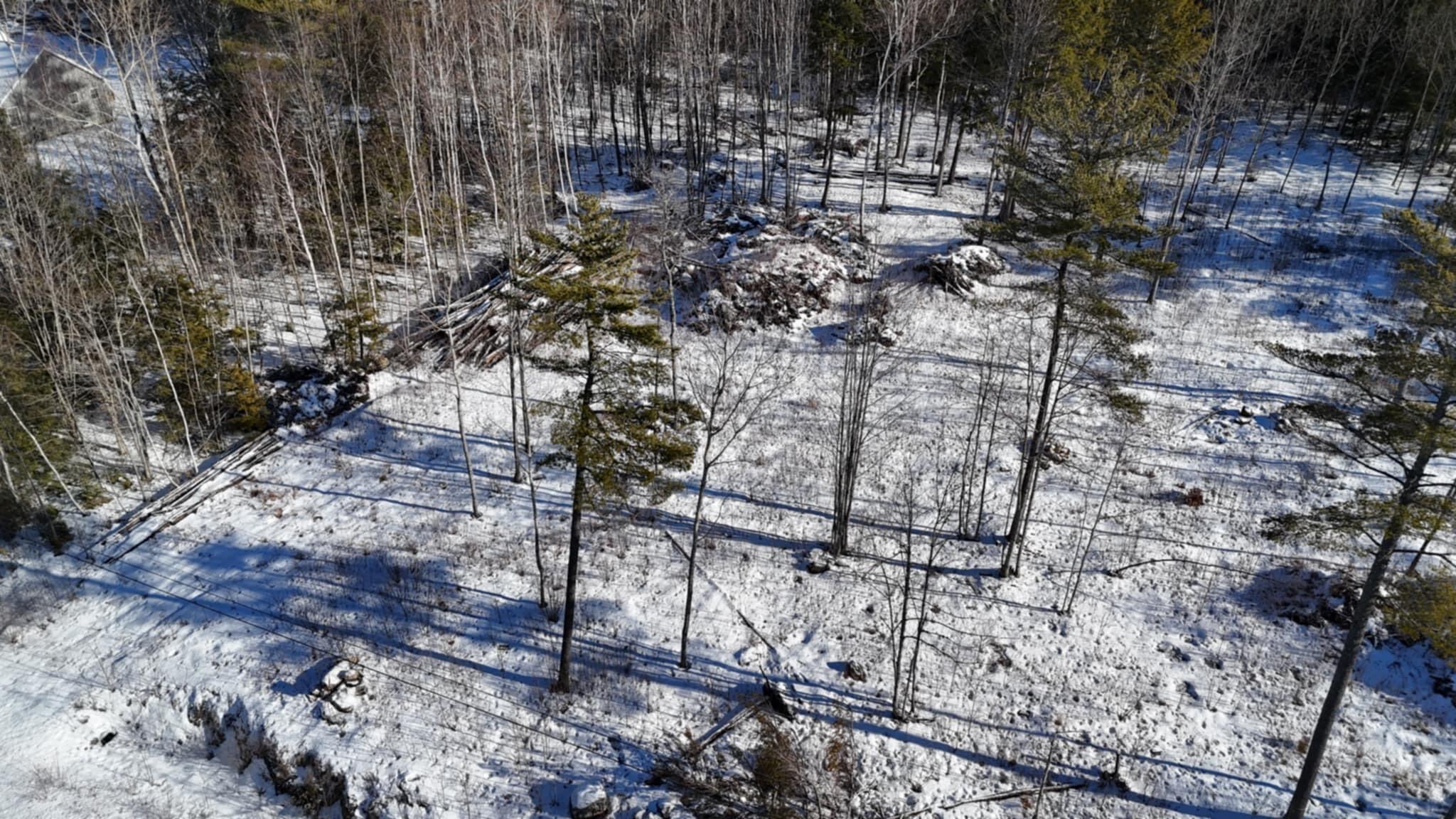 Map17-lot53 Grant Road Orono, ME 04473 - Photo 21 of 21 att._LsUpwEfJOiCN2qy3173sh2jUCjBLa1YlRrb