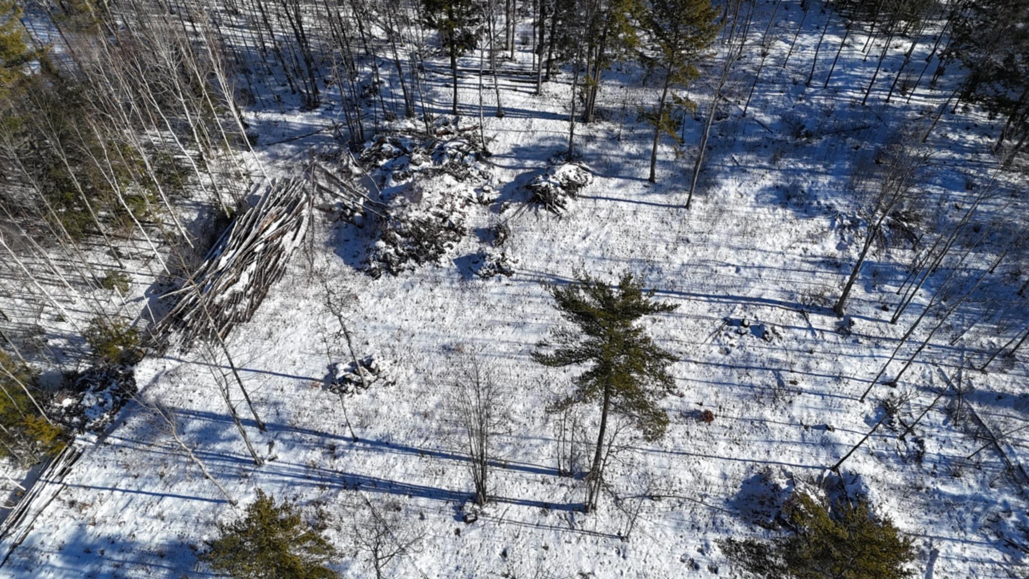 Map17-lot53 Grant Road Orono, ME 04473 - Photo 3 of 21 1