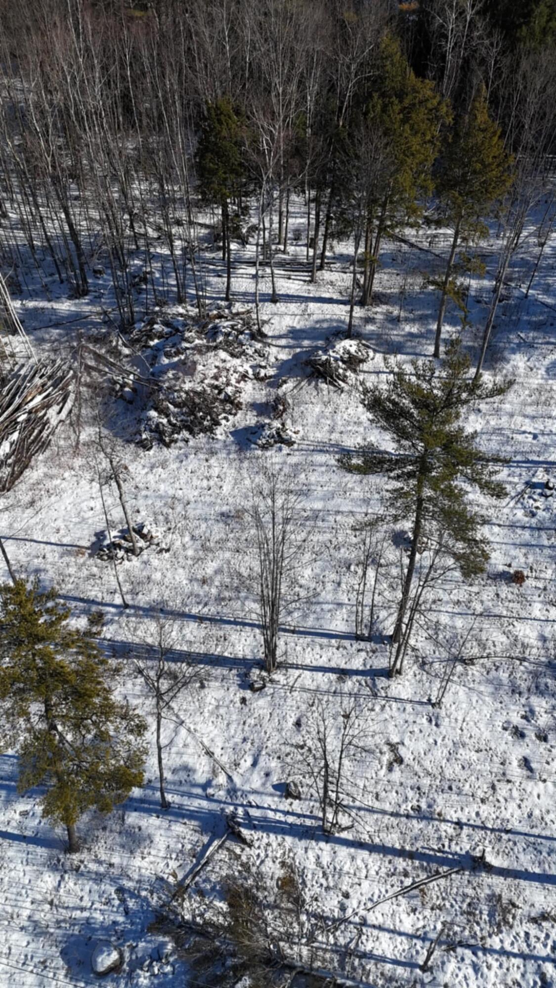 Map17-lot53 Grant Road Orono, ME 04473 - Photo 5 of 21 att.53gj7VGxm5y-zmzabT0gEd16LKxMFD-C0pUq