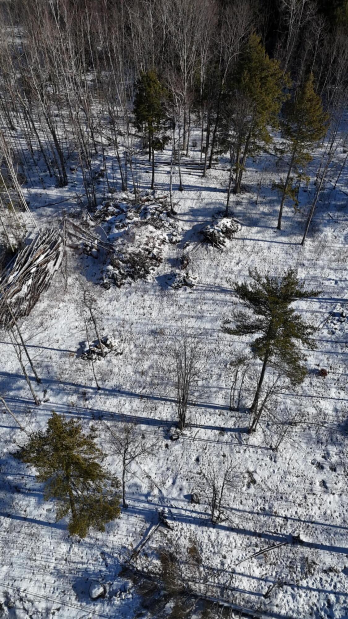 Map17-lot53 Grant Road Orono, ME 04473 - Photo 6 of 21 att.B4gWX51GHx3e42RrVB37b2A1HFD5-ZQNXnCj