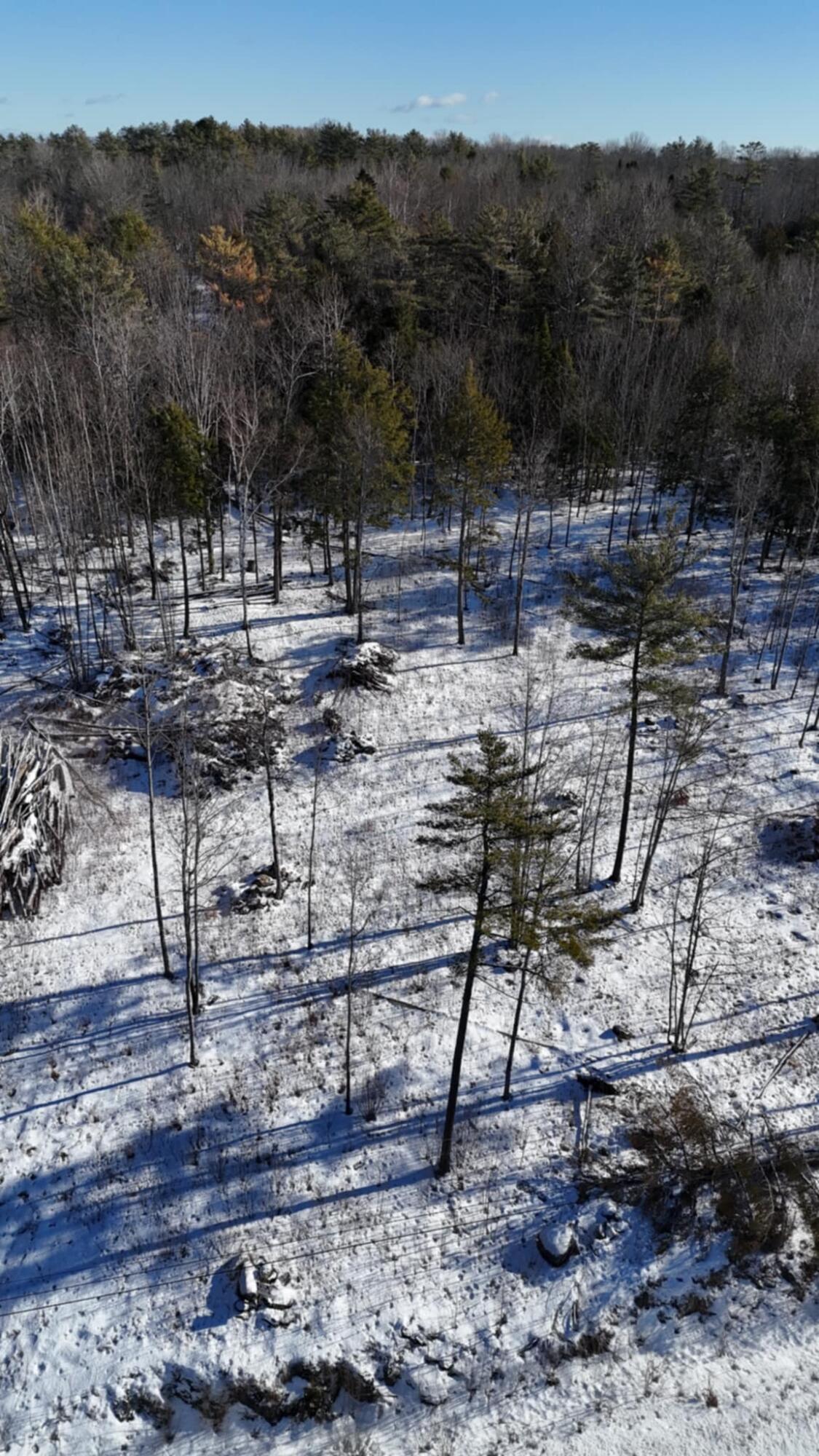 Map17-lot53 Grant Road Orono, ME 04473 - Photo 7 of 21 att.Ww2aFzDnaRnRshQ8BX-FVoJeqLah1_CcycRh