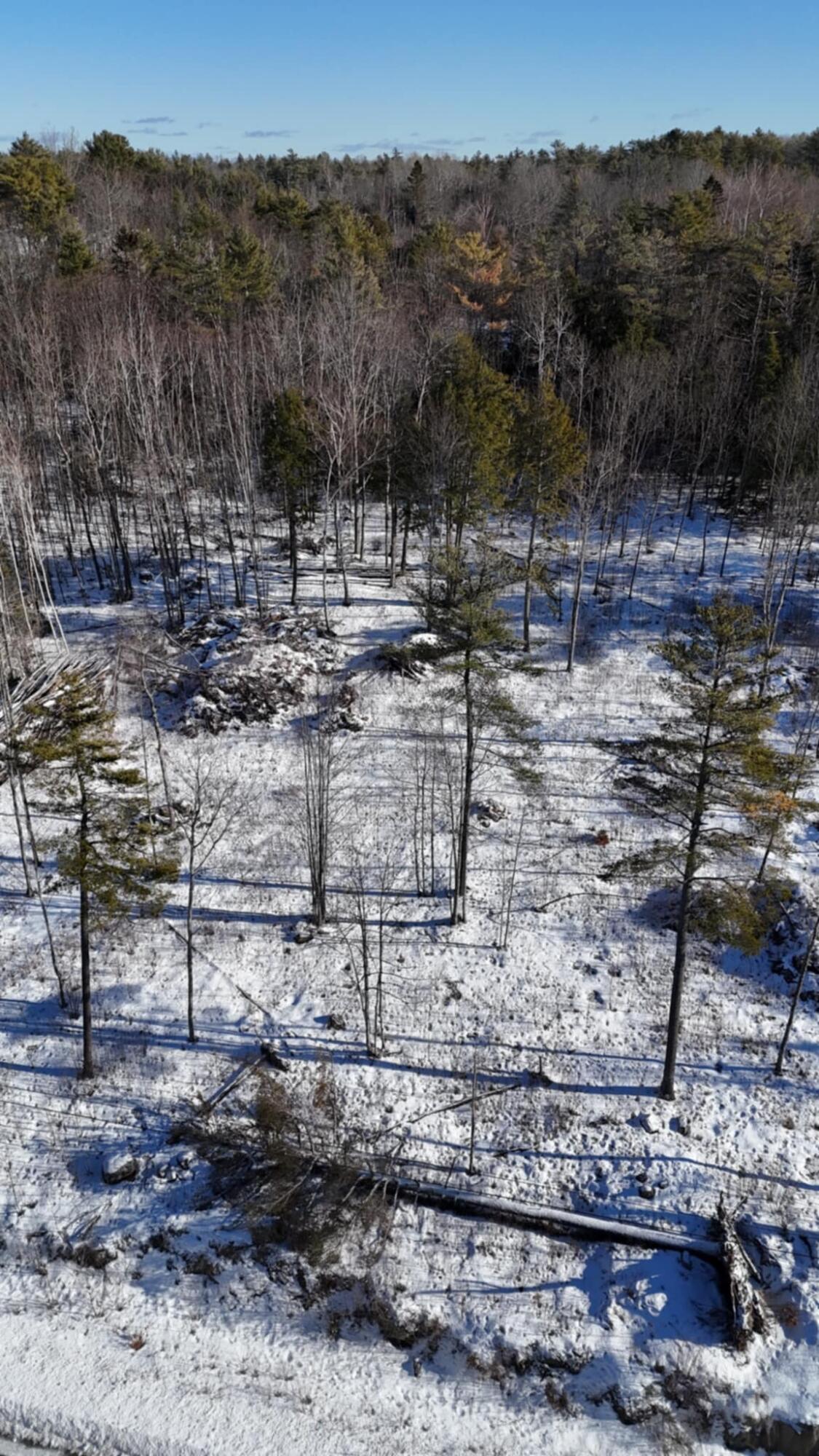 Map17-lot53 Grant Road Orono, ME 04473 - Photo 8 of 21 att.0kkTslzKCue6UhbHtfrIrgo0ASEjPmAne_S4