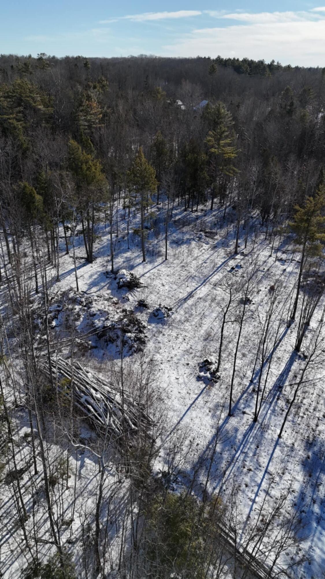 Map17-lot53 Grant Road Orono, ME 04473 - Photo 10 of 21 att.6kNYh-4MGx8oz9hHbqJf7bcO5xEq_L1GahvD