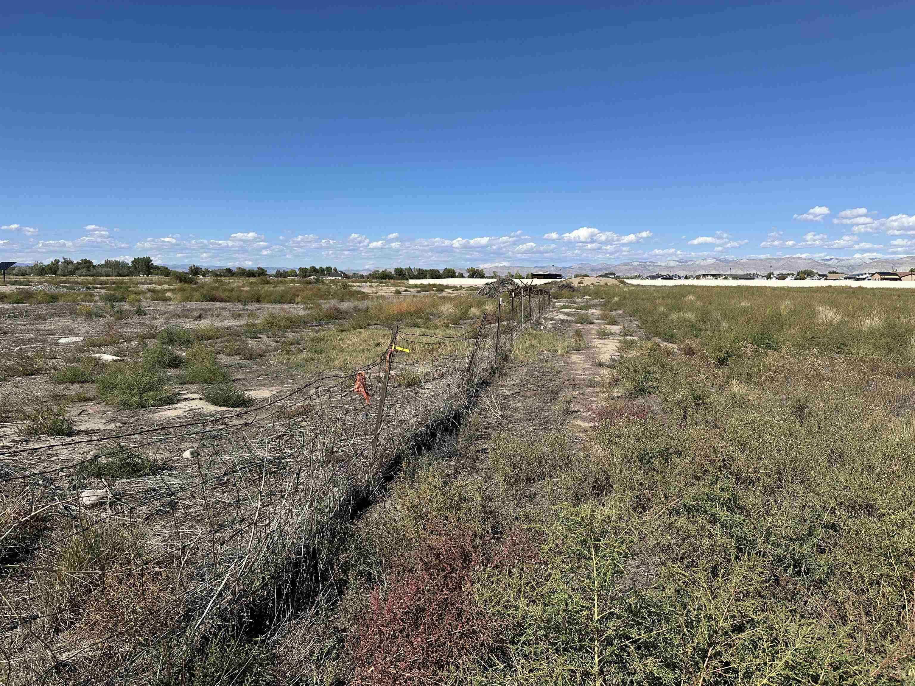 2120 East 1/2 Road Grand Junction, CO 81505 - Photo 8 of 9