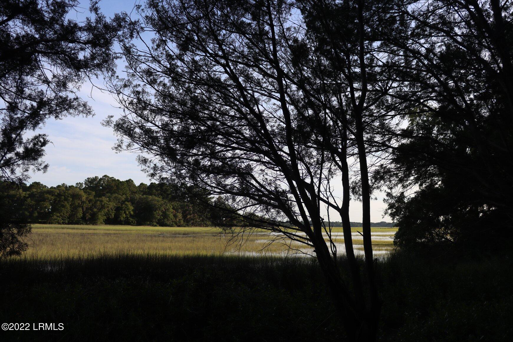 176 Browns Island Road Seabrook, SC 29940 - Photo 3 of 9 78562889_10100640978263239_6868100650758