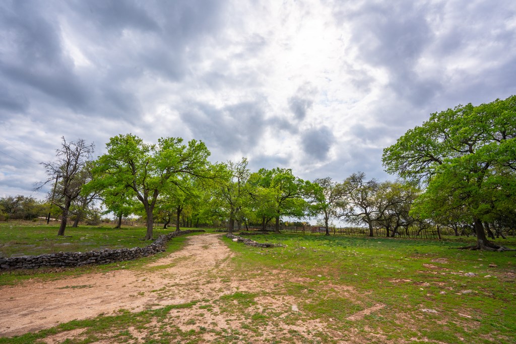346 Crabapple Road Blanco, TX 78606 - Photo 3 of 20 Gallery Image 3