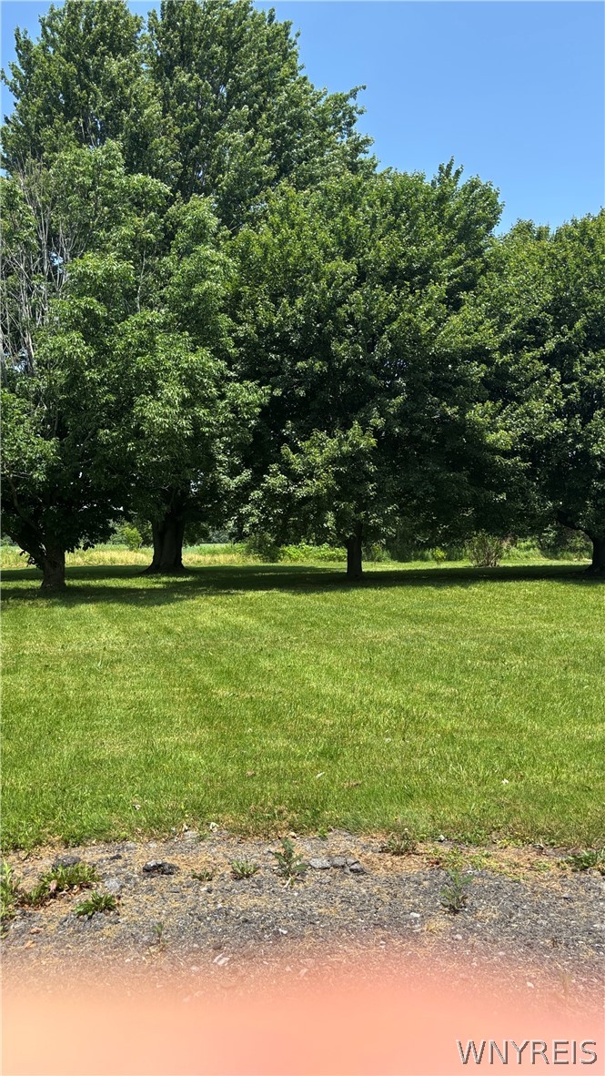 12114 Meahl Road Newstead, NY 14001 - Photo 31 of 36 Backyard view