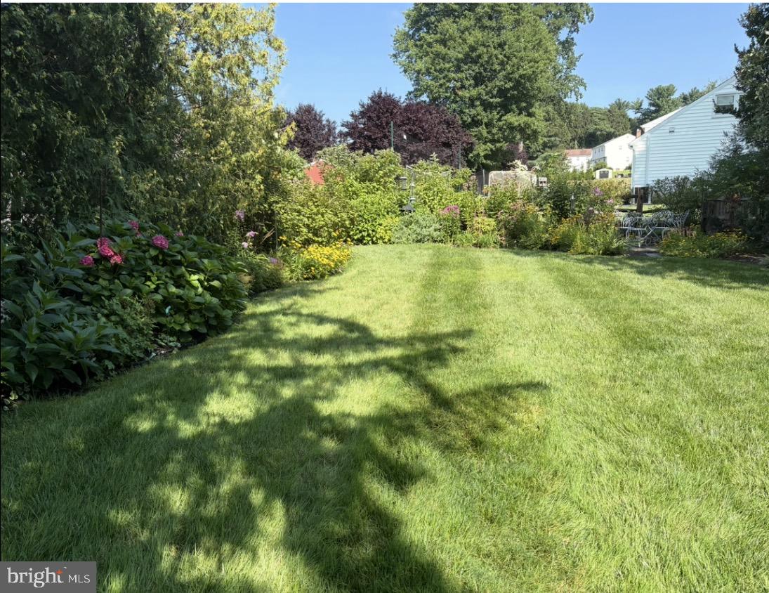 211 Fairfield Drive Wallingford, PA 19086 - Photo 26 of 29 a view of yard with green space