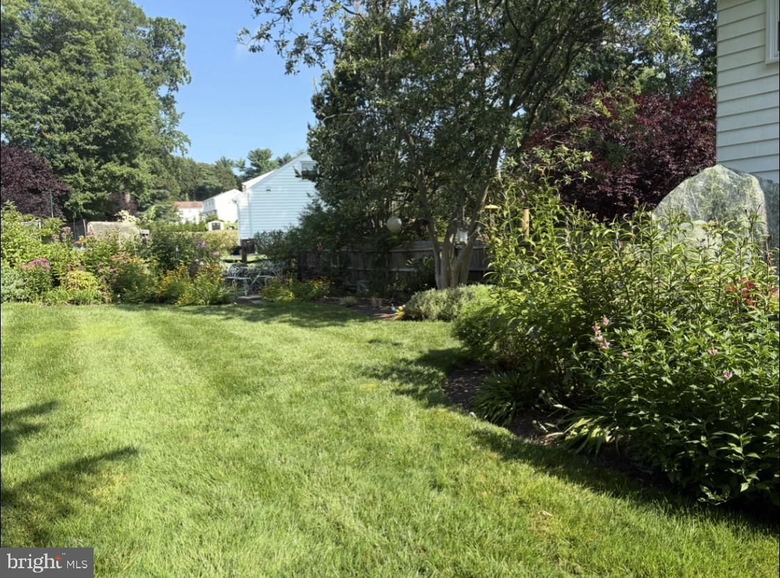 211 Fairfield Drive Wallingford, PA 19086 - Photo 27 of 29 a view of yard with green space