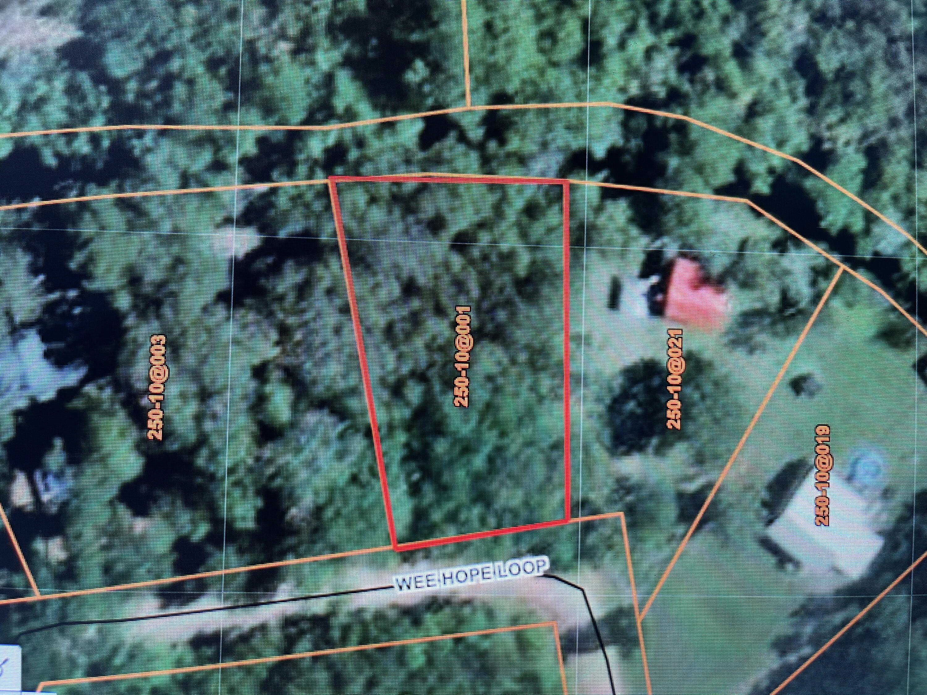 0 Wee Hope Loop Walterboro, SC 29488 - Photo 1 of 7 6E11826F-805C-42D1-8004-F1775BD3B186