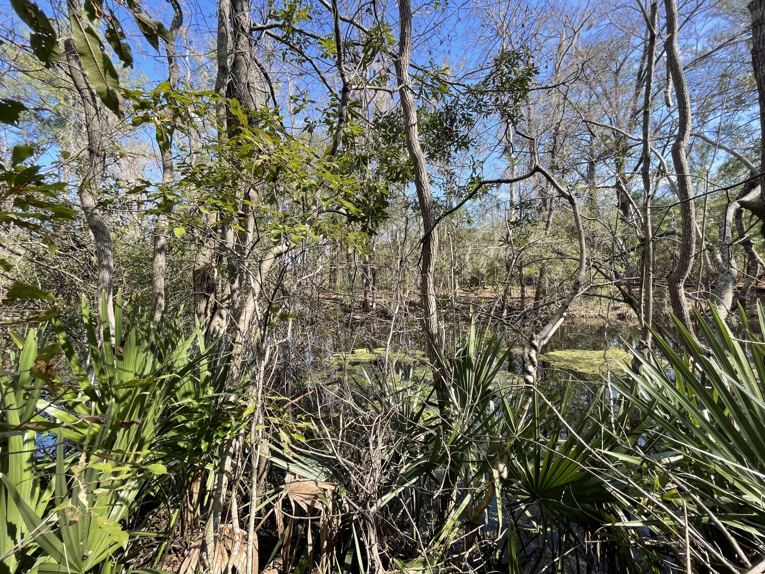 0 Wee Hope Loop Walterboro, SC 29488 - Photo 7 of 7 7DEA2CB5-6778-466E-8F72-E2F89ADC2EF7