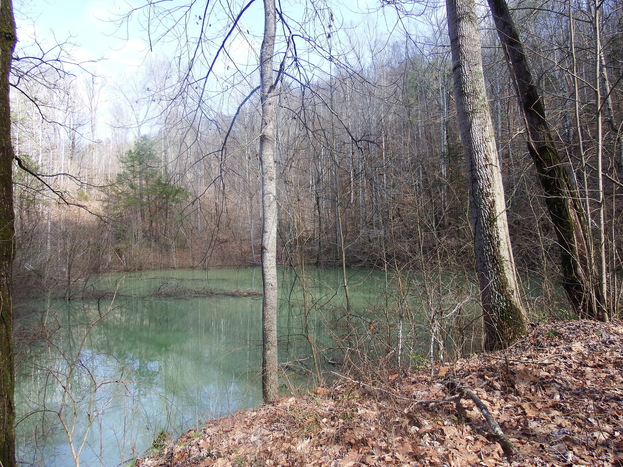 35.38 Haley Road Whitwell, TN 37397 - Photo 1 of 24 A3FFAB3E-1230-41B4-A432-A7882ECC2B77