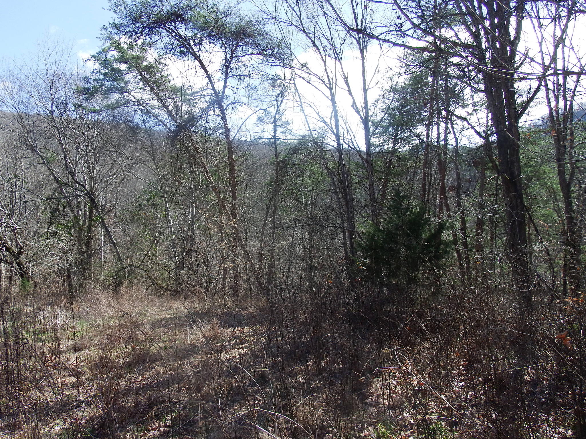 35.38 Haley Road Whitwell, TN 37397 - Photo 13 of 24 401C23CA-3984-41FF-8E31-B739DA3E0254