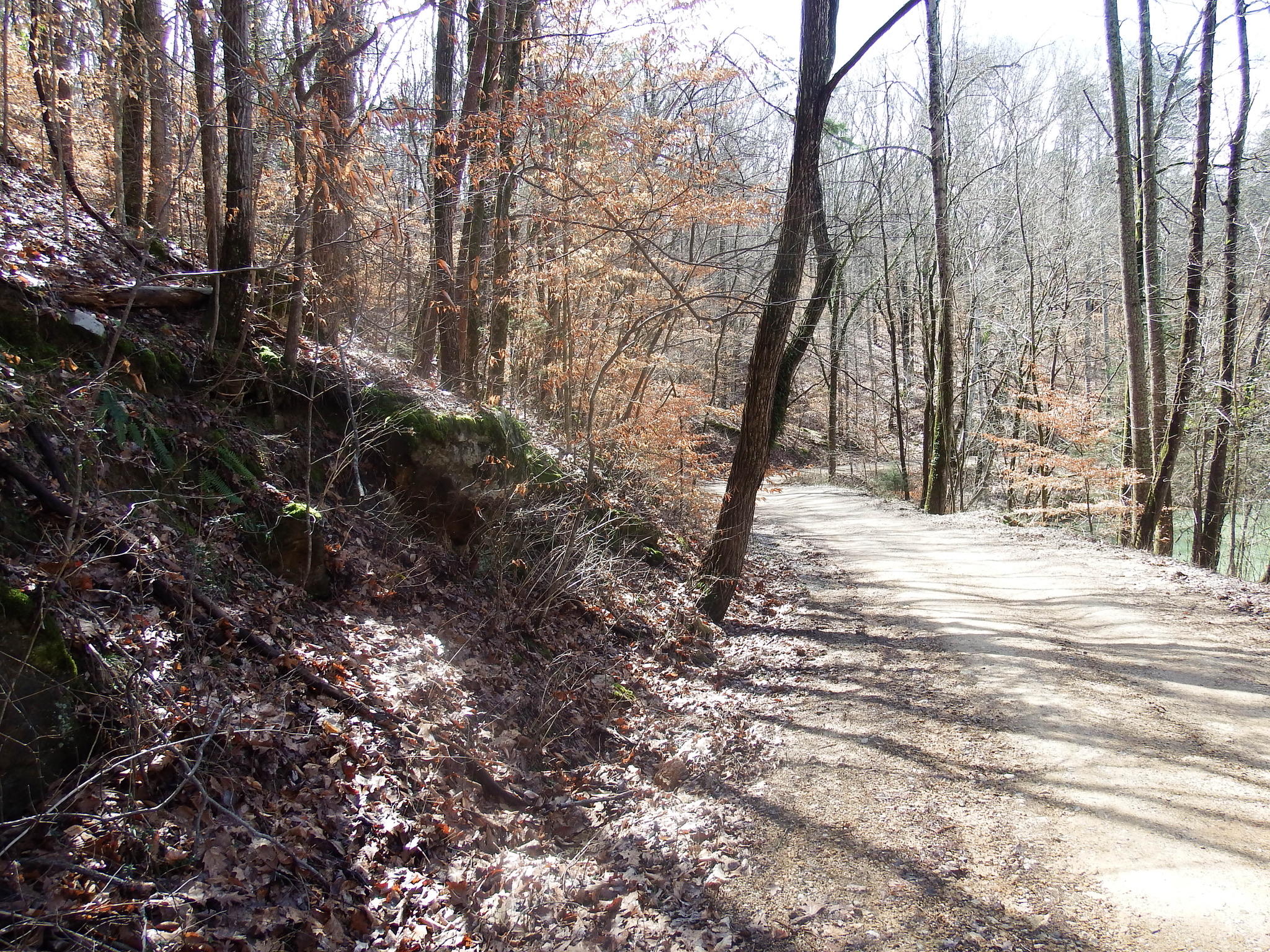 35.38 Haley Road Whitwell, TN 37397 - Photo 17 of 24 A3F266E8-A004-4DFF-B950-4E98DA05153B