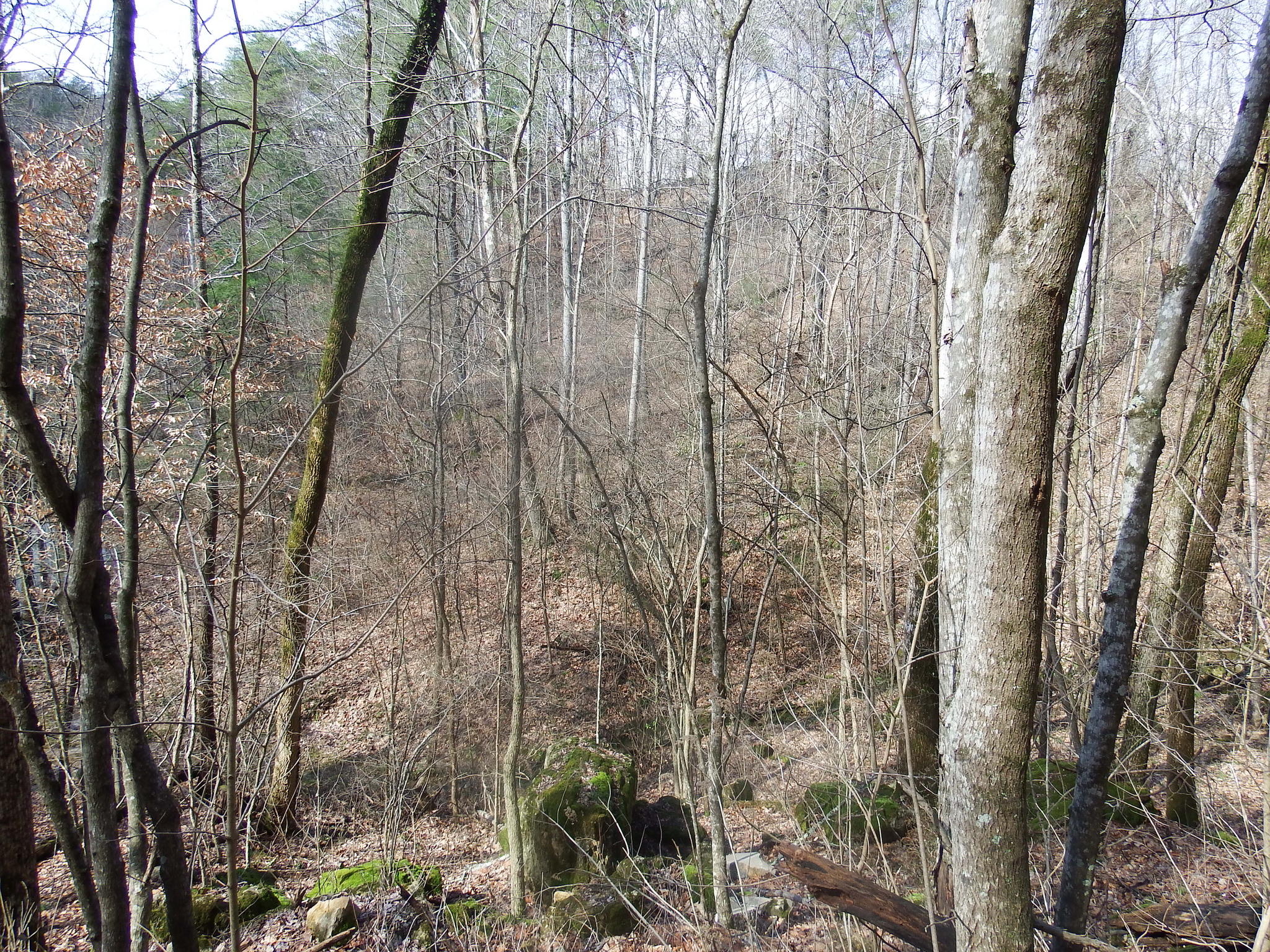 35.38 Haley Road Whitwell, TN 37397 - Photo 18 of 24 640837D3-ADC8-40BD-AAB6-BE8FEB9A87AE